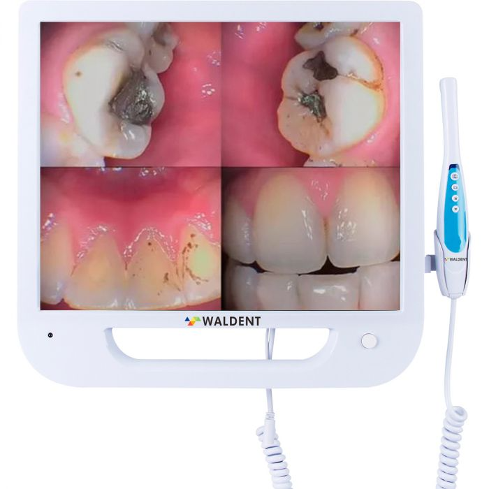 Intra Oral Camera with Screen Ergo - Waldent